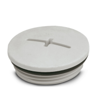 A-INSP-M40-68N-P-LG Screw plug