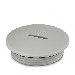 A-INSP-PG29-65N-P-LG Screw plug