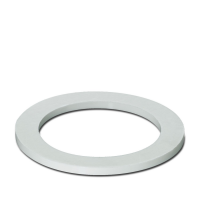 A-SEW-20-P-W Flat gasket