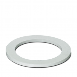 A-SEW-32-P-W Flat gasket