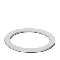 A-SEW-50-P-W Flat gasket