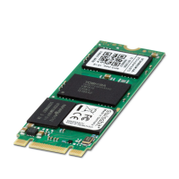 BL2 X100 32GB M.2 2242 MLC Memory