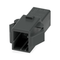 DD21H 0,85/ 6-PT-2,5-X Perėjimo kištukas