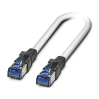 FL CAT6 PATCH 10 Patch cable