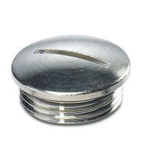HC-BS-PG21 Screw plug