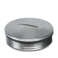 HC-BS-PG29 Screw plug