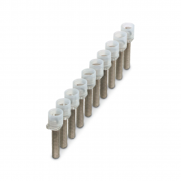 ISSBI  10-10 Bridge