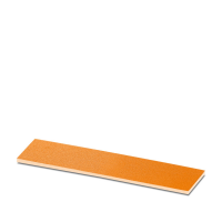 PMT (10X38) OG Insert label