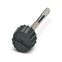 SAC-V-SCREW-M3-29 KNURL varžtas