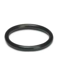 WP-OR M10 Sealing ring