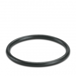 WP-OR PG21 Sealing ring