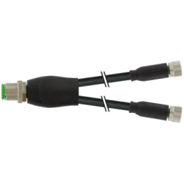 M12 (male) - 2xM8 (female) Y kabelis su išsišakojimu iš vieno antgalio į du lizdus, A-kod., 3x0.25 mm², PVC, 0.3m